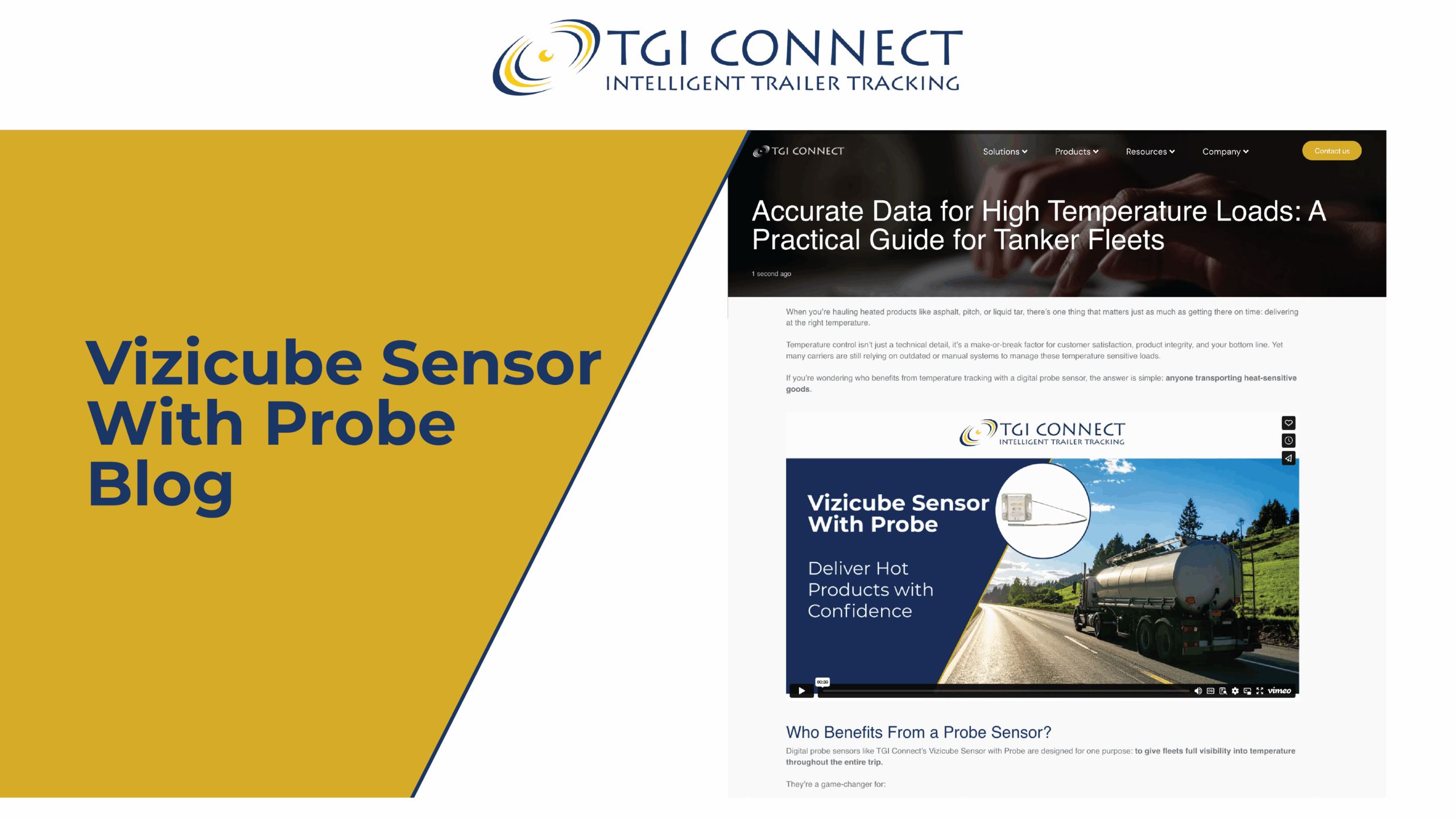Image of a title saying Vizicube Sensor With Probe Blog on the left side and a preview image of the blog on the right.