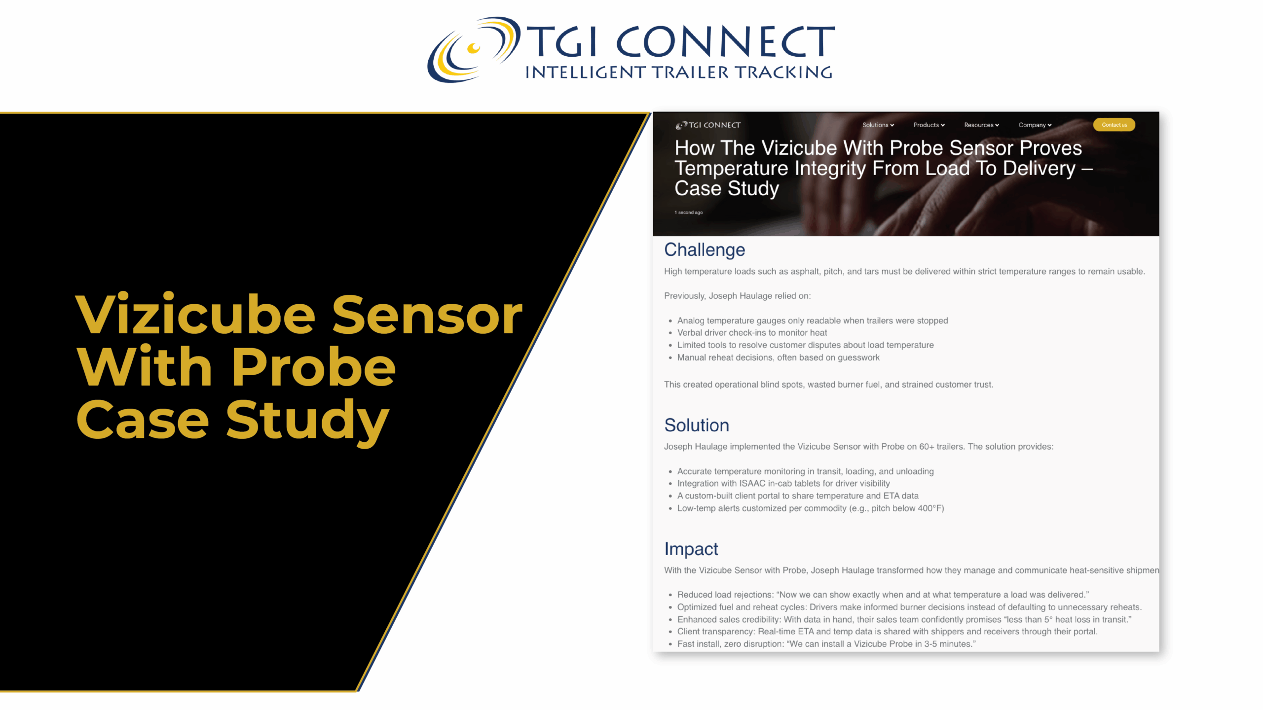 This image shows the preview of the blog on the right side and a title showing "Vizicube Sensor with Probe Case Study"